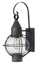 Hinkley Lighting 2204DZ - Large Wall Mount Lantern