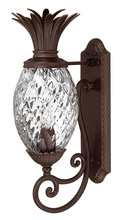 Hinkley Lighting 2220CB - Large Wall Mount Lantern