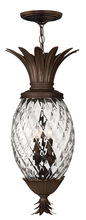 Hinkley Lighting 2222CB - Large Hanging Lantern