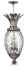 Hinkley Lighting 2222PL - Large Pendant