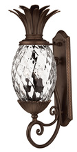 Hinkley Lighting 2224CB - Large Wall Mount Lantern