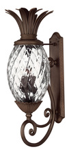 Hinkley Lighting 2225CB - Extra Large Wall Mount Lantern