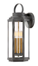 Hinkley Lighting 2535DZ - Large Wall Mount Lantern