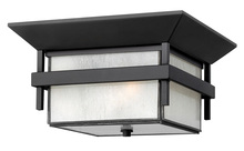 Hinkley Lighting 2573SK - Small Flush Mount