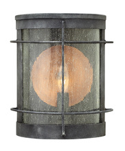 Hinkley Lighting 2620DZ - Small Wall Mount Lantern