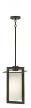 Hinkley Lighting 2922BZ - Medium Hanging Lantern