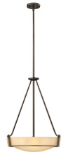 Hinkley Lighting 3222OB - Medium Pendant