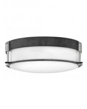 Hinkley Lighting 3233DZ - Medium Flush Mount