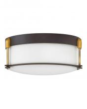 Hinkley Lighting 3233OZ - Medium Flush Mount