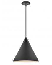 Hinkley Lighting 3694BK - Medium Pendant