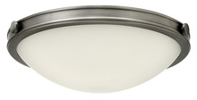 Hinkley Lighting 3782AN - Small Flush Mount