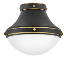 Hinkley Lighting 39051BK - Medium Flush Mount
