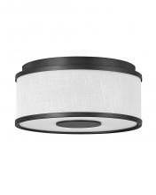 Hinkley Lighting 42006BK - Small Flush Mount