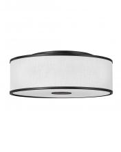 Hinkley Lighting 42010BK - Large Flush Mount