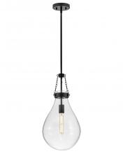 Hinkley Lighting 46057BK - Small Pendant