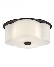 Hinkley Lighting 46441BK - Medium Flush Mount