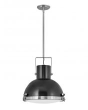 Hinkley Lighting 49065PN - Large Pendant