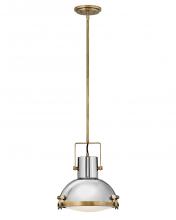 Hinkley Lighting 49067HB - Medium Pendant