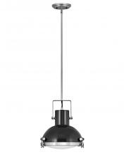 Hinkley Lighting 49067PN - Medium Pendant