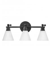 Hinkley Lighting 51183BK - Medium Adjustable Three Light Vanity