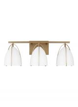 Studio Co. VC 4451803EN3-848 - Norman Three Light Wall / Bath