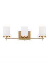 Studio Co. VC 4490303-848 - Zire Three Light Bath