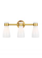 Studio Co. VC AEV1003BBSMG - Moritz Three Light Vanity