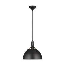 Studio Co. VC TP1061AI - Logan Medium Pendant